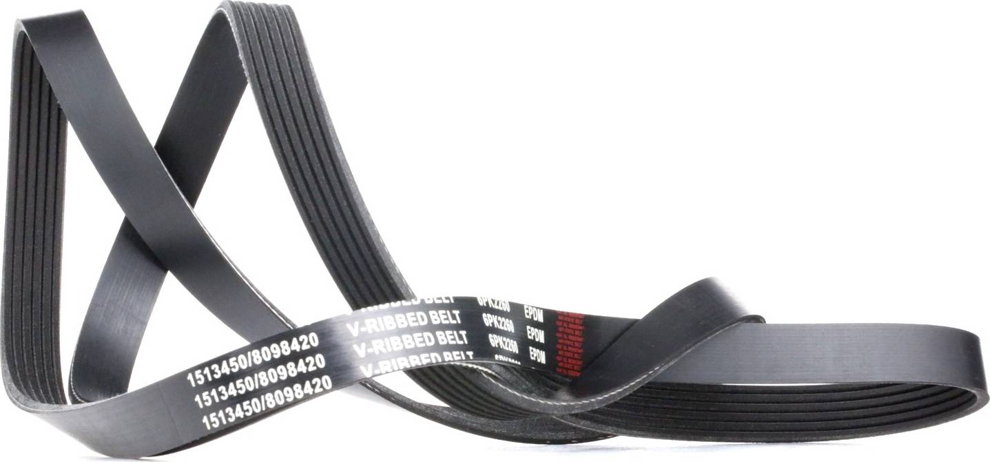 Ridex V-Ribbed Belt 305P0099