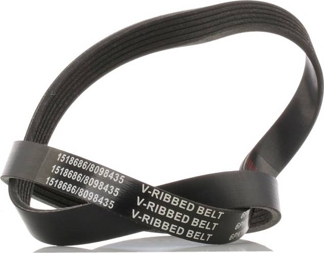 Ridex V-Ribbed Belt 305P0059