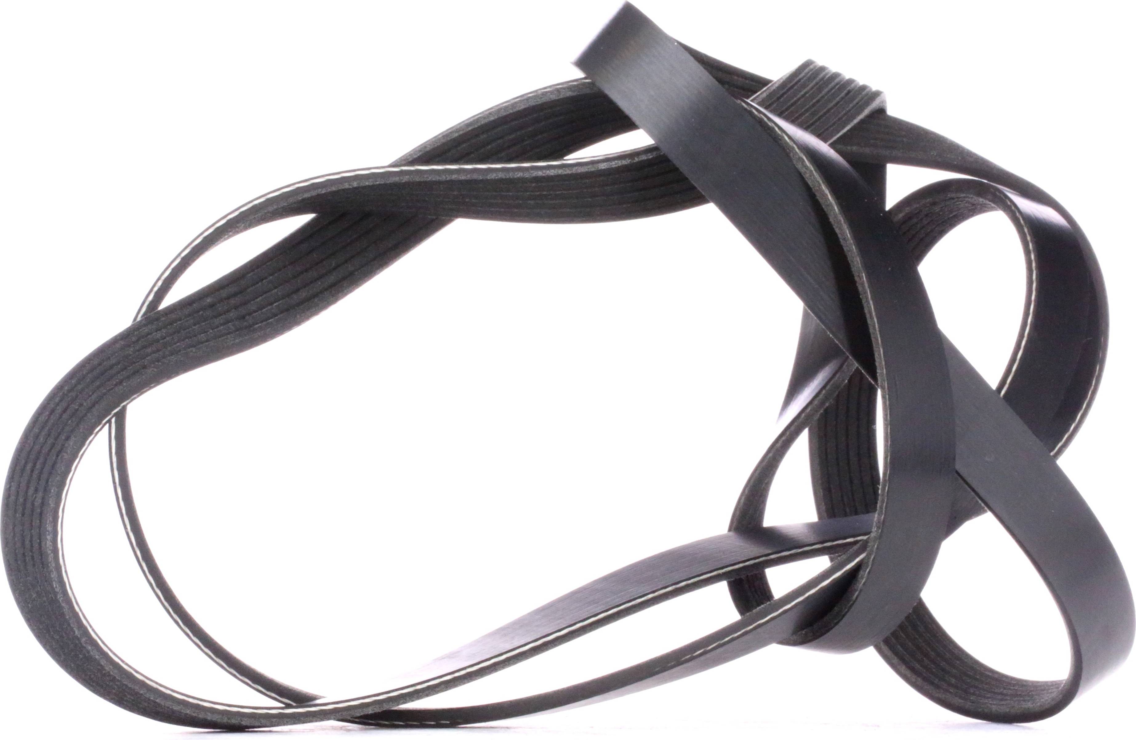 Ridex 305P0105 V-Ribbed Belt