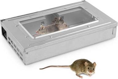 KCT Multi Catch Humane Mouse Trap