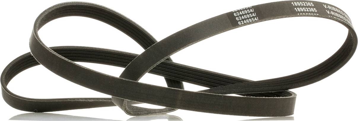 Ridex Plus V-Ribbed Belt