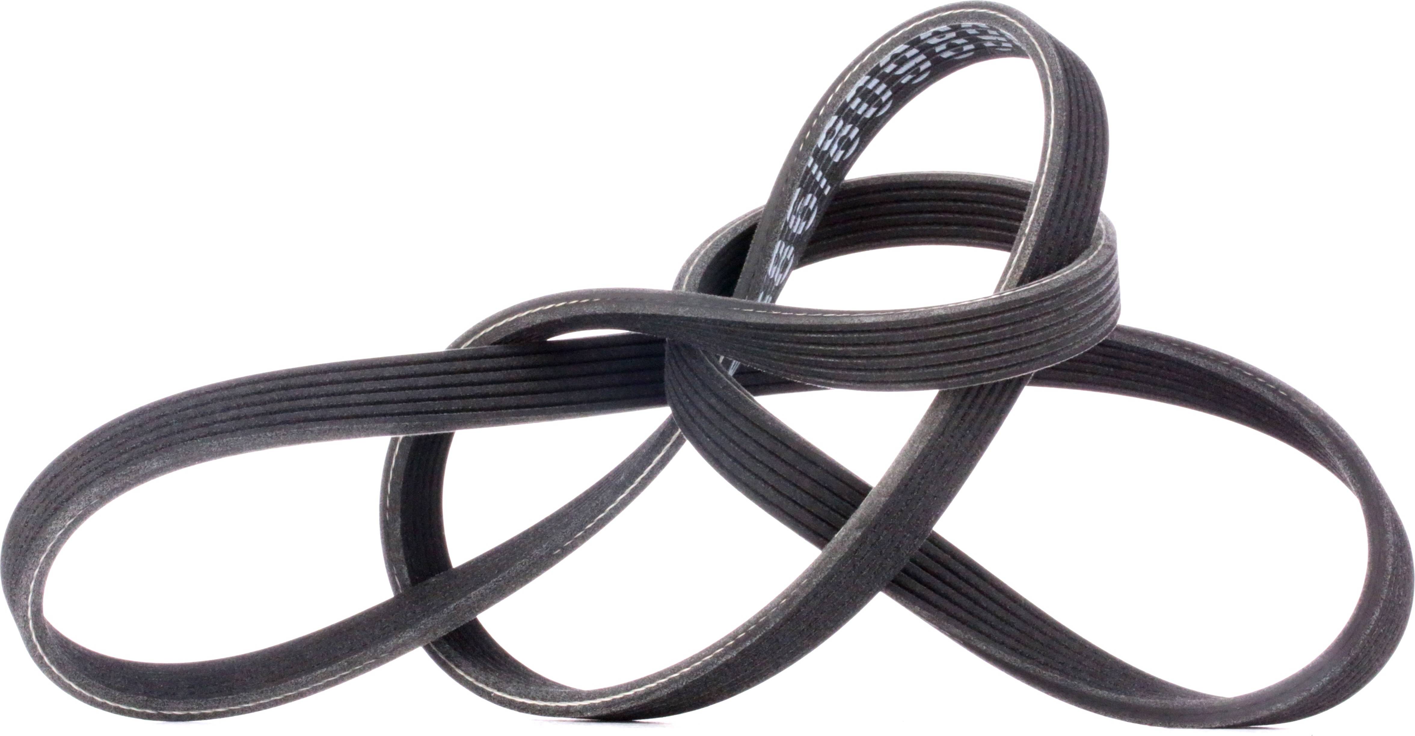Ridex 305P0222 V-Ribbed Belt