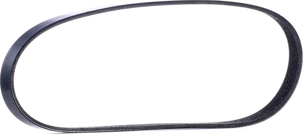 Ridex 305P0025 V-Ribbed Belt