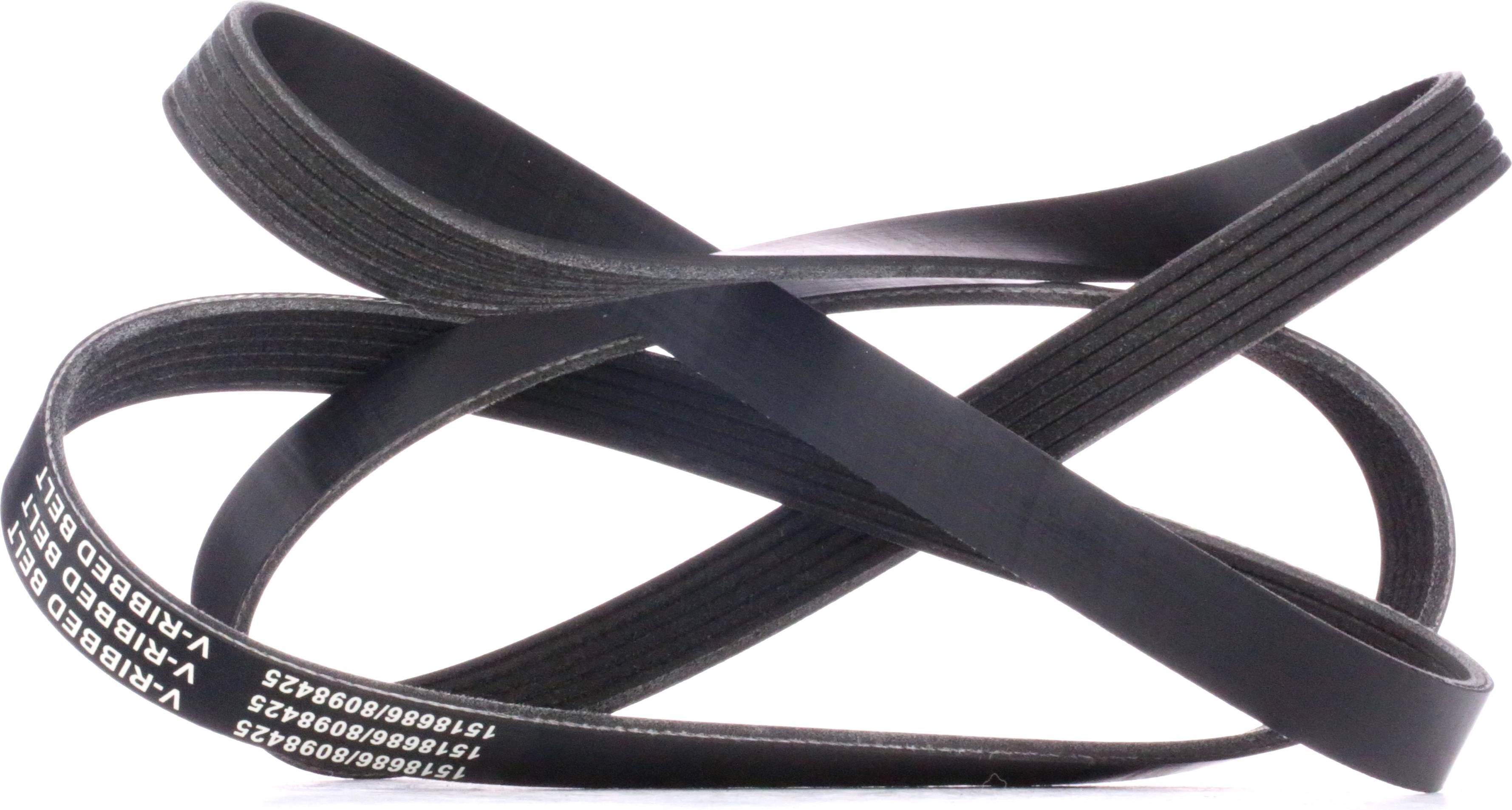 Ridex V-Ribbed Belt 305P0089