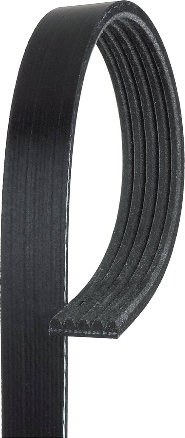 Gates Micro-V Multi-Ribbed Belt 5PK810