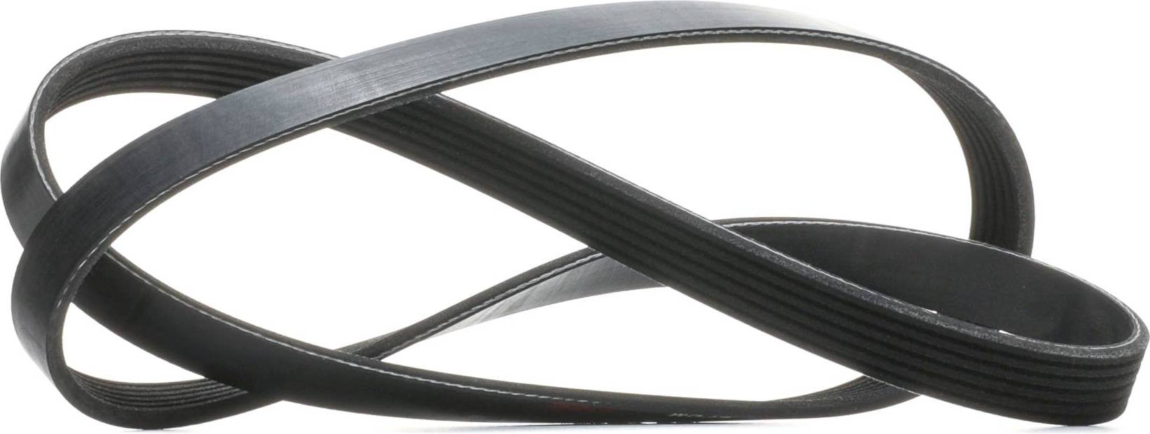 Ridex V-Ribbed Belt 305P0584