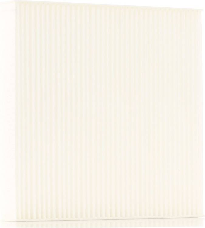 Ridex 424I0323 Pollen Particulate Filter