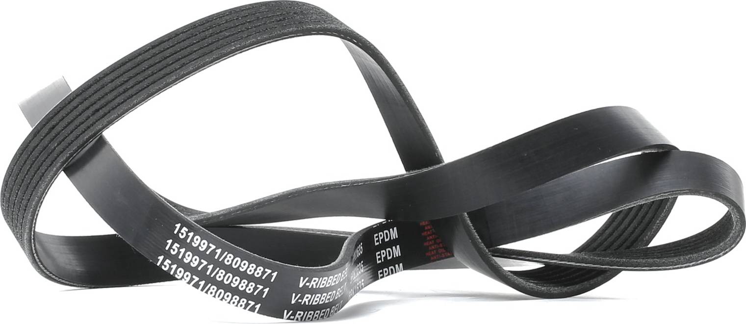 Ridex 305P0370 V-Ribbed Belt