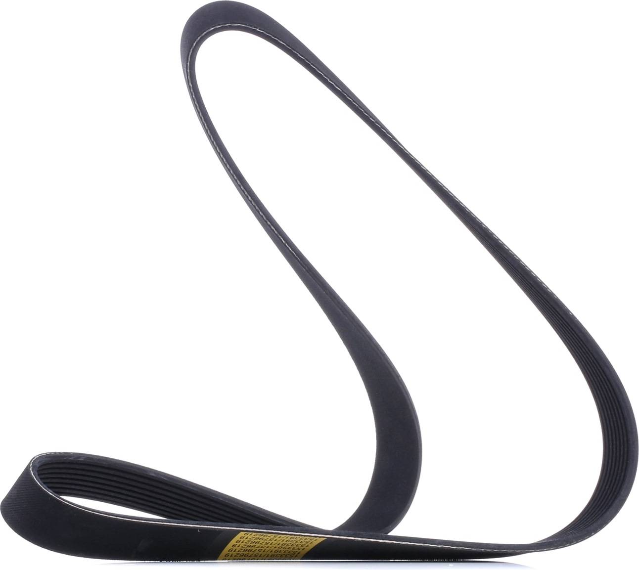 Ridex V-Ribbed Belt 305P0473