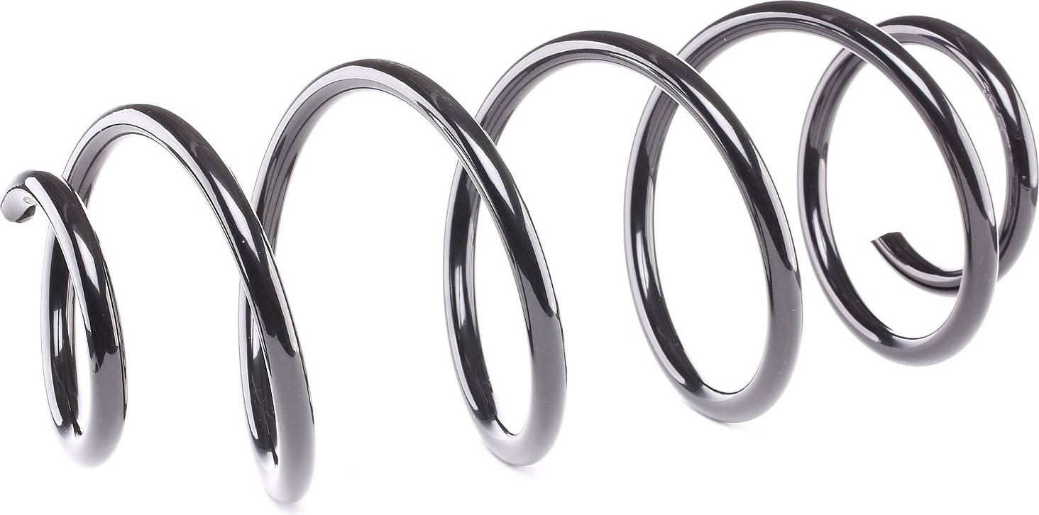 Ridex Coil Spring FORD 188C0010 Suspension Spring