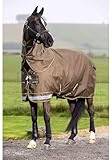 LeMieux Arika Ripstop Turnout Rug - Alpine