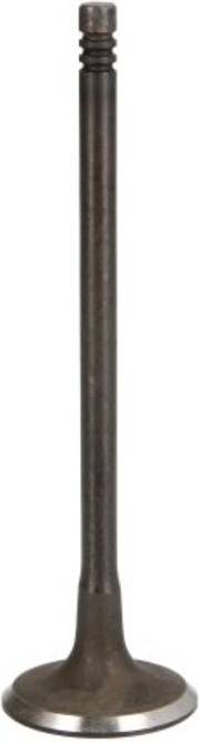 IPSA Indsugningsventil FRECCIA R6819/SNT