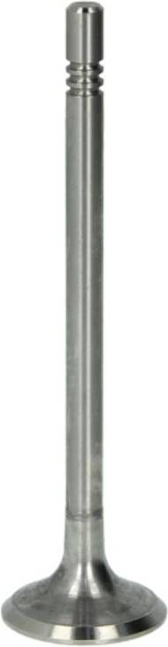 Soupape D'admission FRECCIA R6690/S