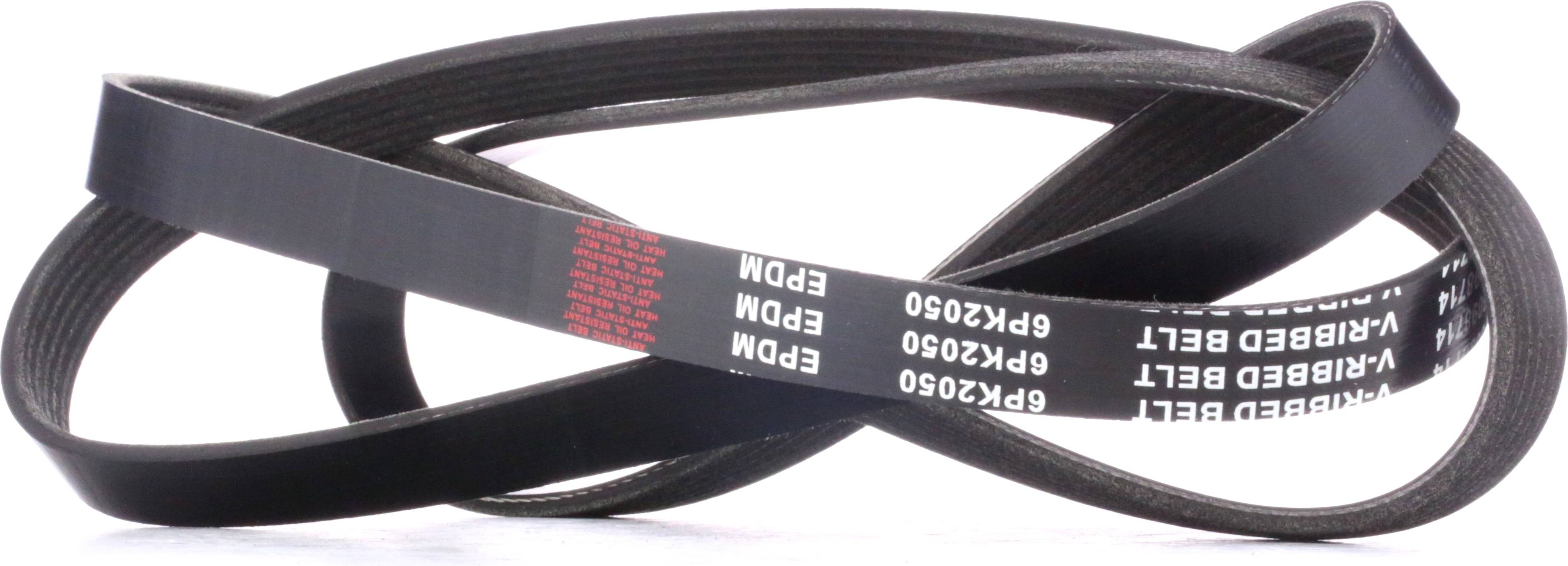 Ridex V-Ribbed Belt 305P0094