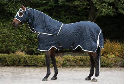 Rambo Show Set Rug Outlet