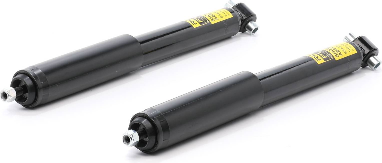 Ridex Plus 854S19301P Shock Absorber Rear Axle