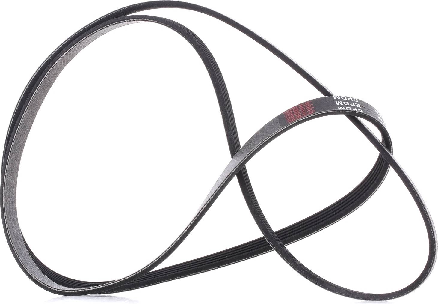 Ridex Plus V-Ribbed Belt 305P0160P
