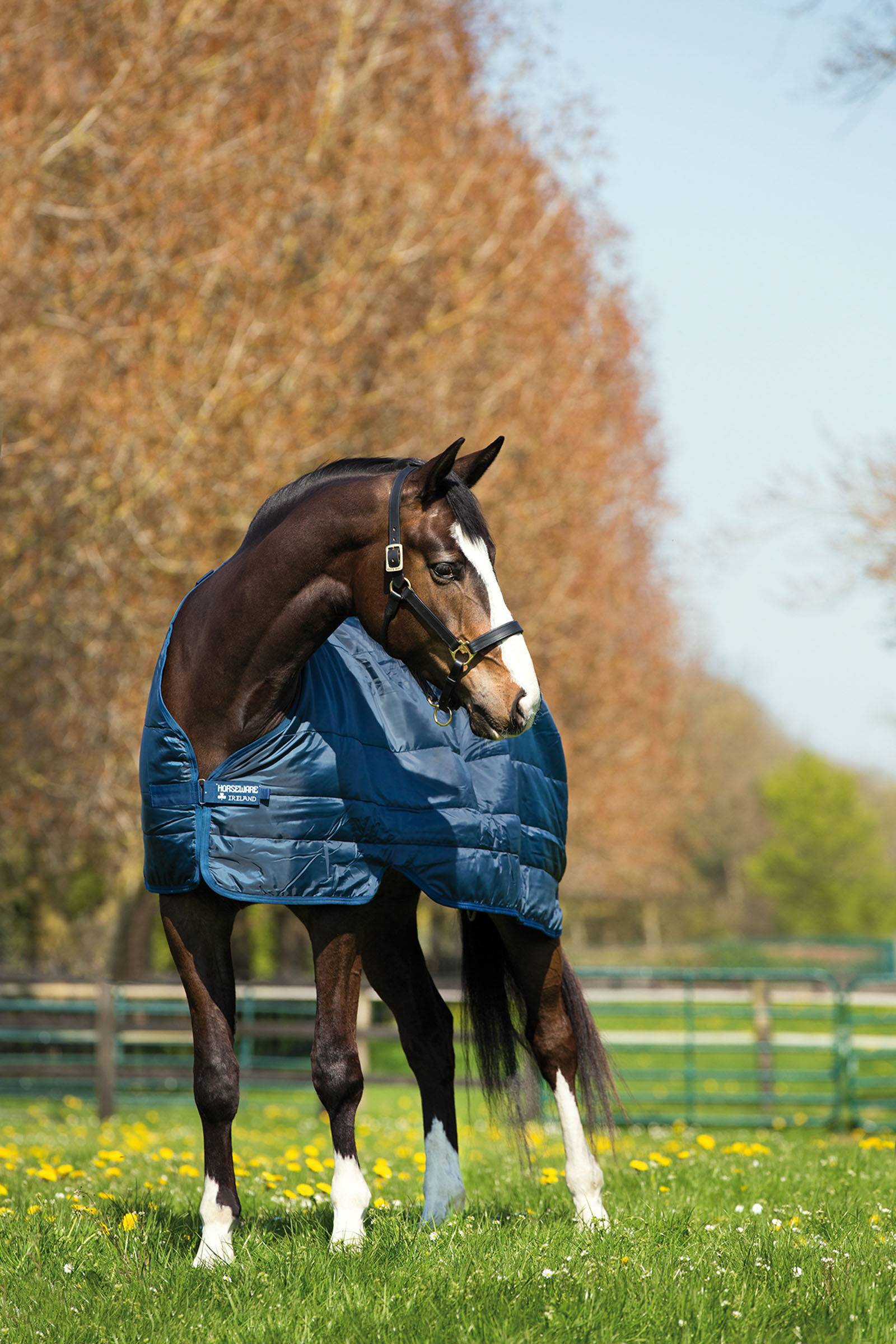 Horseware Liner Under Rug - 200g