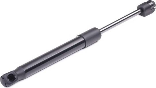 Ridex Tailgate Strut Rear Extension 520N