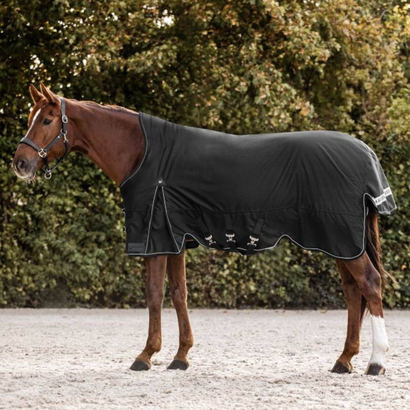 Scandic High Neck Light Turnout Rug