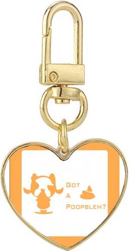 DIYthinker Boston Terrier Poop Problem Keychain - Gold
