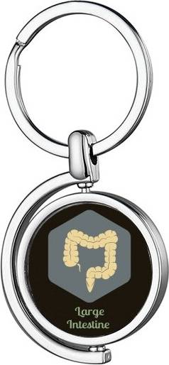 DIYthinker Intestine Rotating Keychain - Metal
