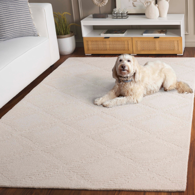 Safavieh Handmade Rodeo Drive Wool Rug 5' x 8' Beige, White, Multicolor 60x96"