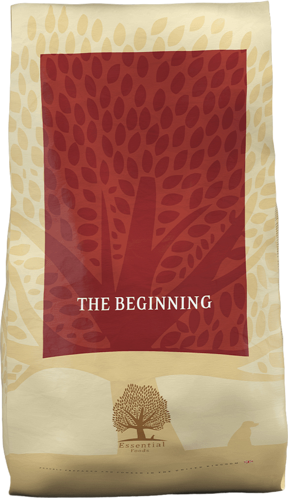 Essential The Beginning Small Size