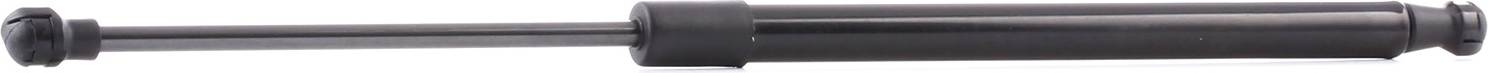Ridex Gas Spring Rear Window