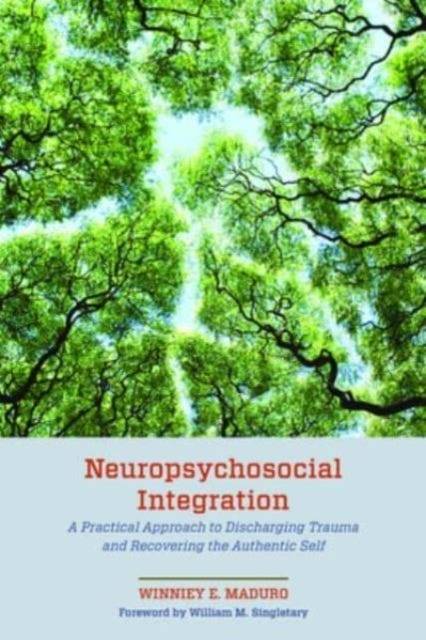 Neuropsychosocial Integration A Practical Approach to... (Hardback)
