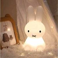 Aiperq Colorful Silicone Rabbit