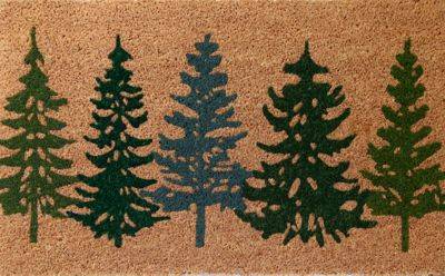Coir Mat Multicolor
