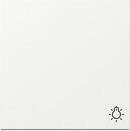 Gira Cover Plate Switch Push Button Rocker Symbol Light Pure White