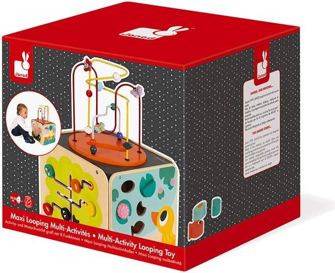 Multi-Activity Looping Toy