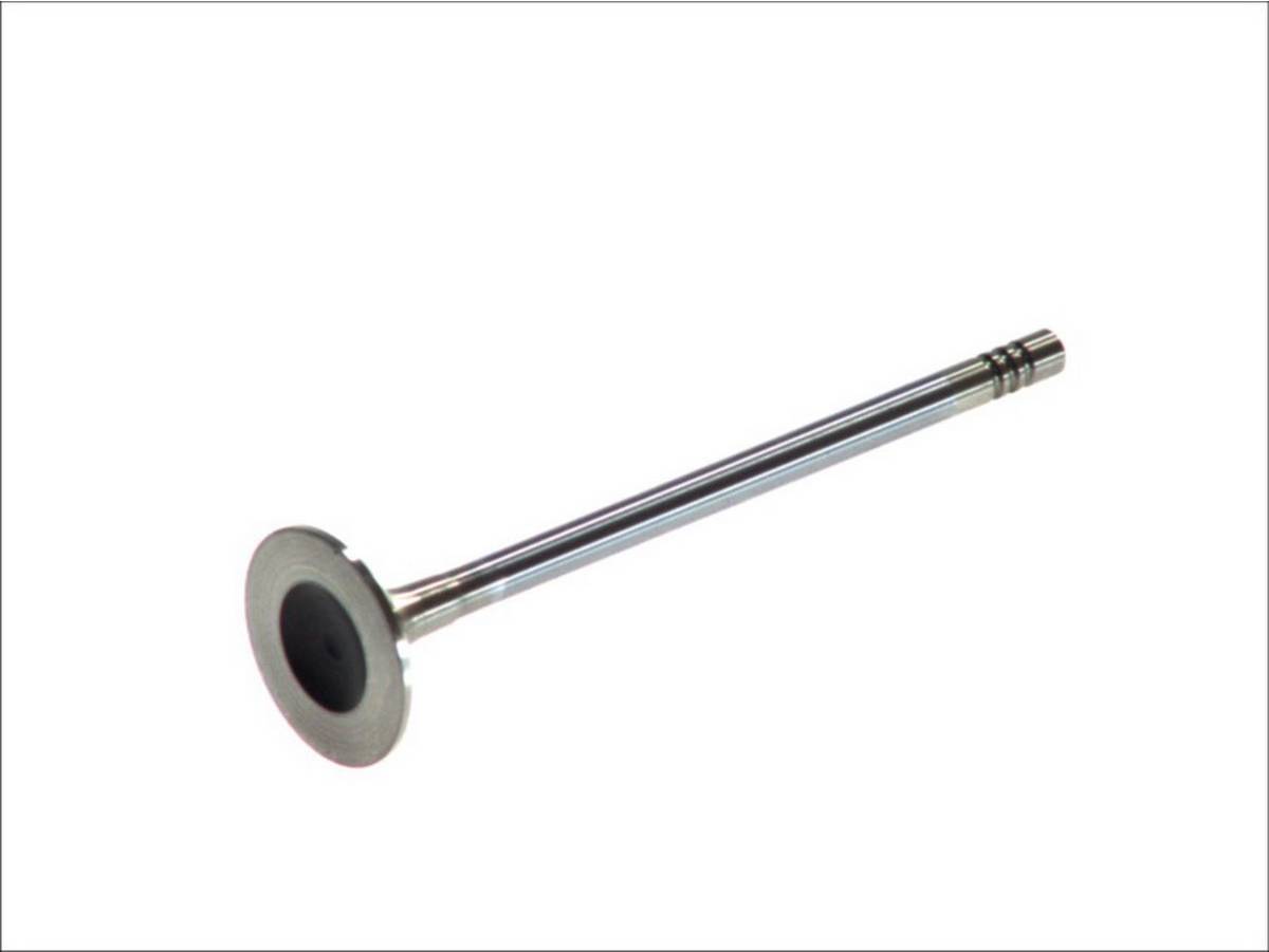 FRECCIA R4879 RCR Auslassventil