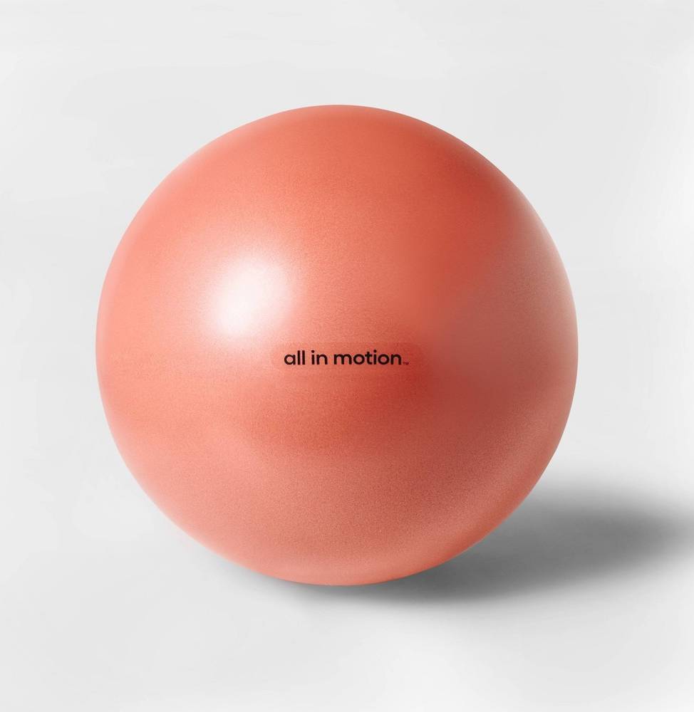 All In Motion Weighted Stability Exercise Ball 65cm