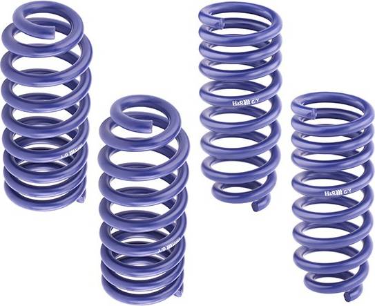H&R Lowering Springs 28942-2