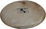 Latin Percussion WB505 Percussion Head 12" World Beat
