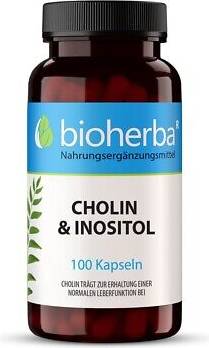 Inositol Bioherba Cholin & Inositol Kapseln 100 Stk.