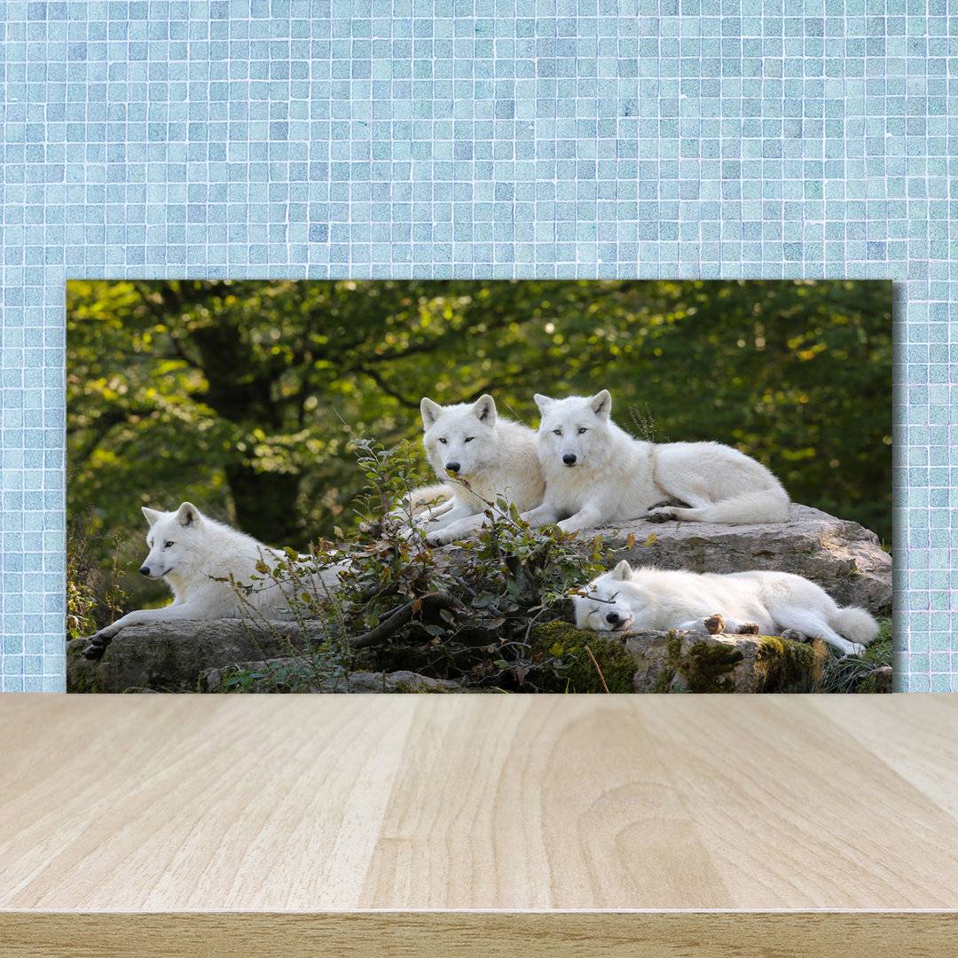 Union Rustic Forance Wolves Rock Glass Panel 50cm x 100cm Splash Guard