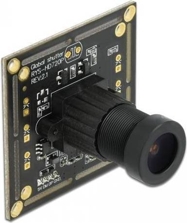 DeLock USB 2.0 Camera Module 0.92 Mp