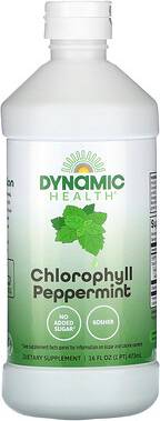 Dynamic Health Chlorophyll, Peppermint 16 fl oz