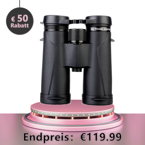 Retevis RT622 Radio A Lungo Raggio Ricaricabile 4pcs