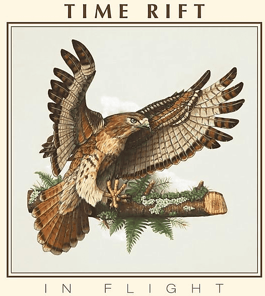 Time Rift - In Flight (Vinyl)