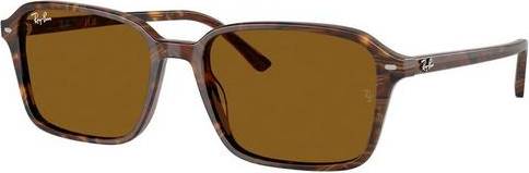 Ray-Ban Raimond Solbriller Mænd - Brown Transparent Pattern