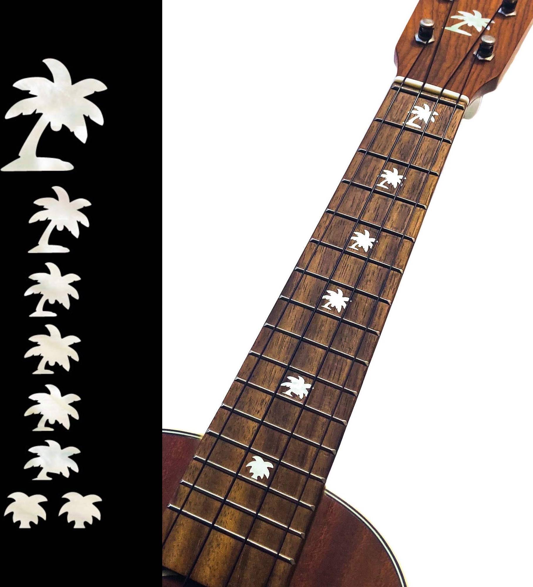 Jockomo Palm Tree Position Mark