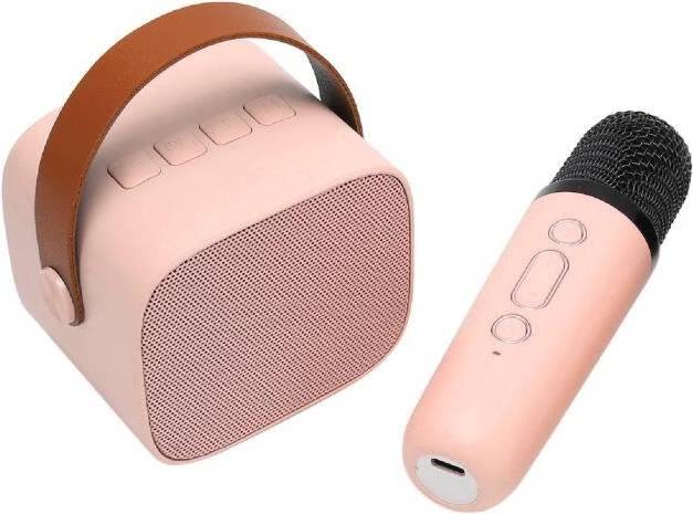 Mini Karaoke Set USB Computer Speaker
