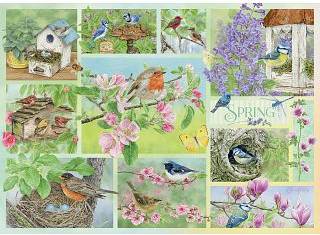 Cobblehill Garden Birds In Spring