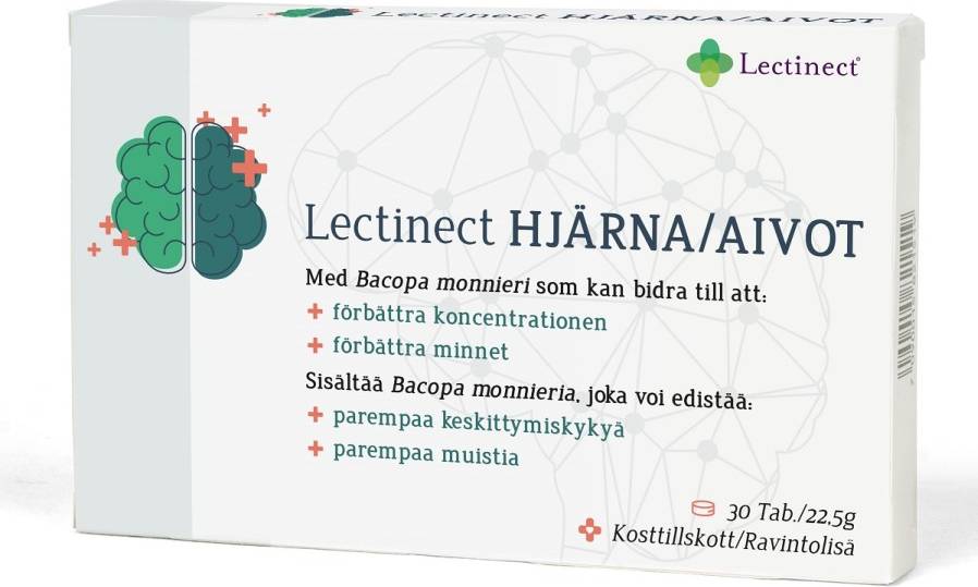 Lectinect Brain