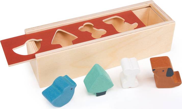 Pet Shape Sorting Box